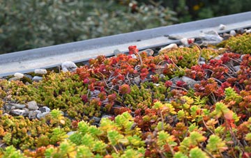 the cost of Chartridge green roof installation